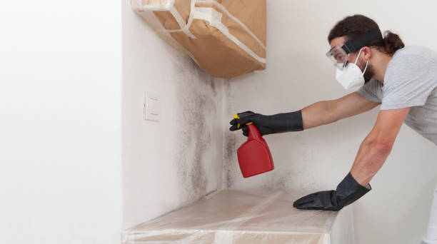 Professional Mold Removal technician working in Fayetteville, NC
