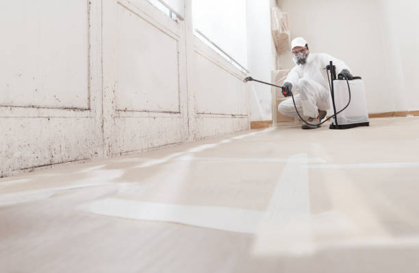 24/7 Emergency Mold Removal experts in Fayetteville, NC