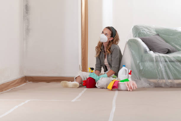 Reliable Mold Removal contractor in Fayetteville, NC by Car Mold Remediation