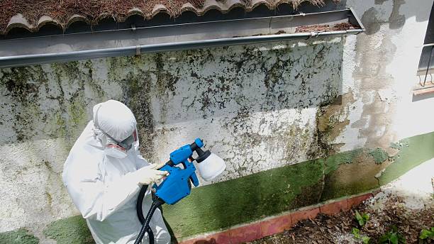 Top rated local Mold Removal specialists in Fayetteville, NC